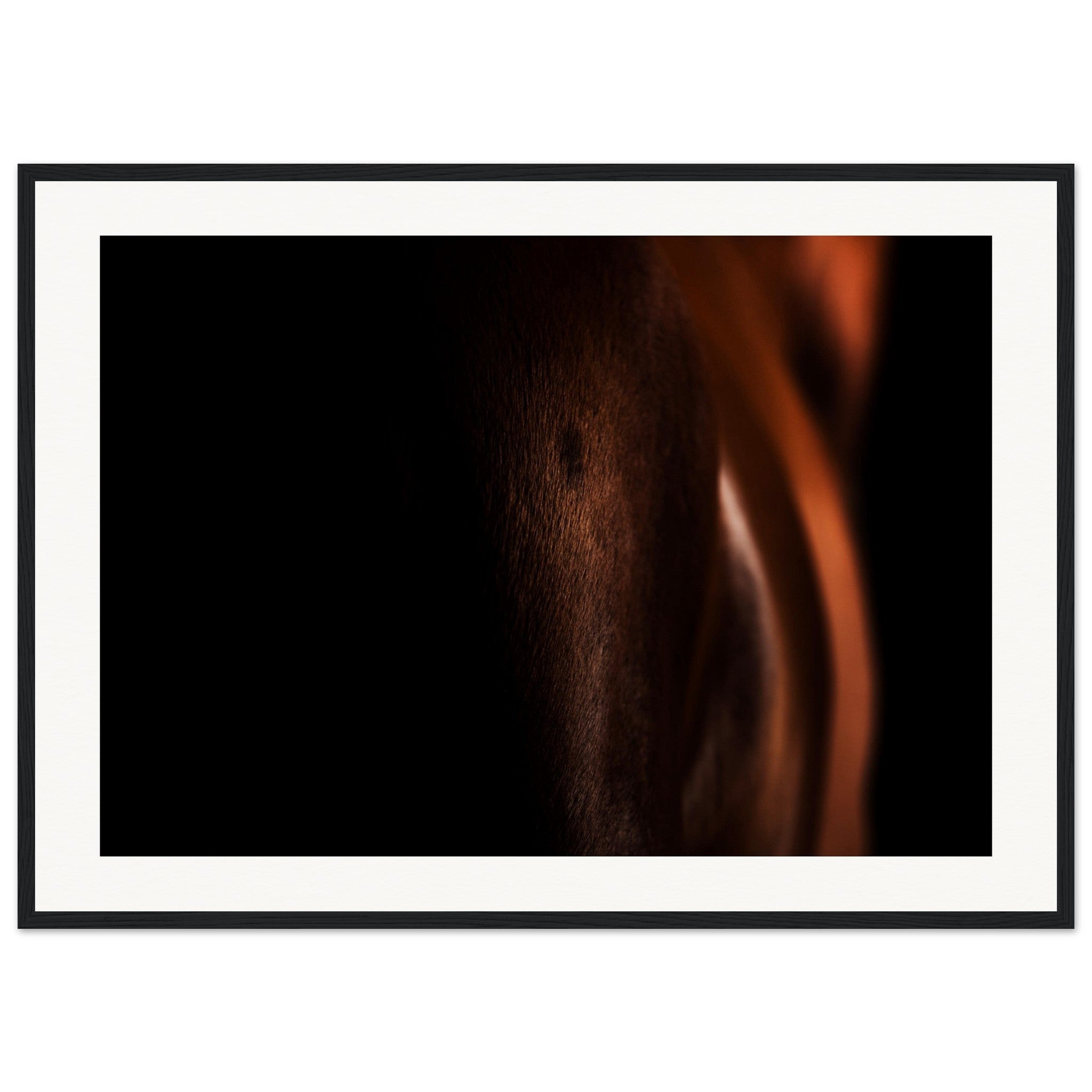 fe1bc33a-dbbc-488c-b3eb-0541d7105a6b