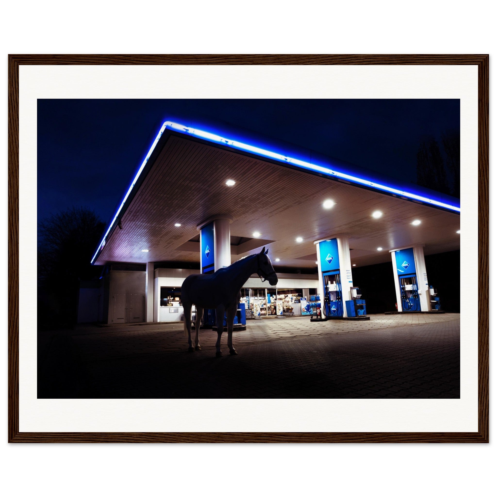 fe251984-9830-48d6-9b28-35962e4f15a8