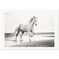 fe35e577-b28a-4676-af76-f796554b3683