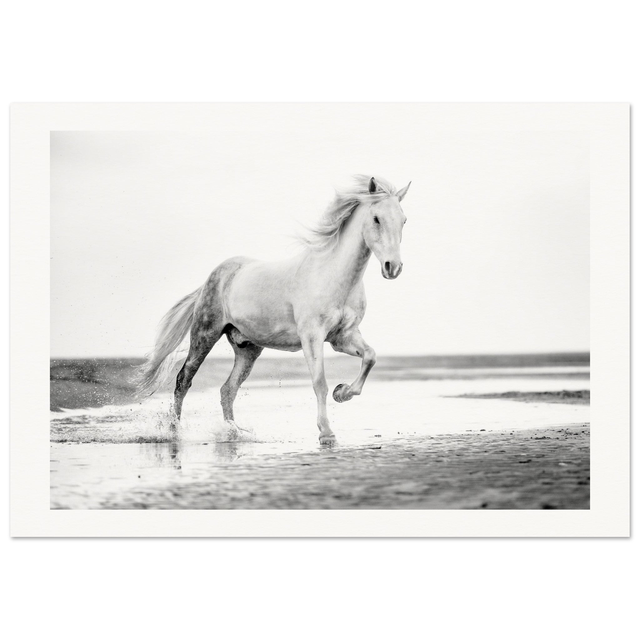 fe35e577-b28a-4676-af76-f796554b3683