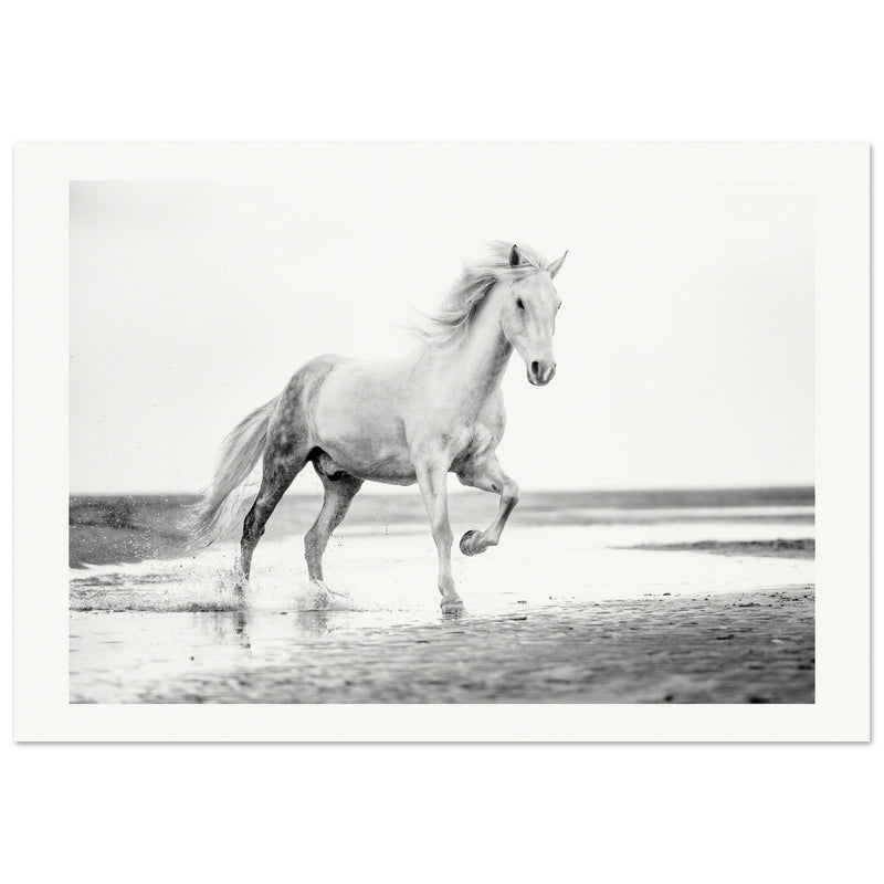 fe35e577-b28a-4676-af76-f796554b3683