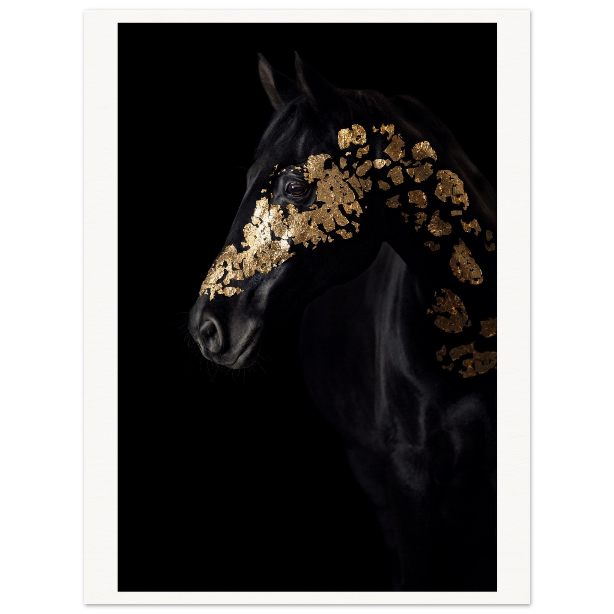 fe36b42c-9bf0-42e1-828d-6c9b9ac982e2