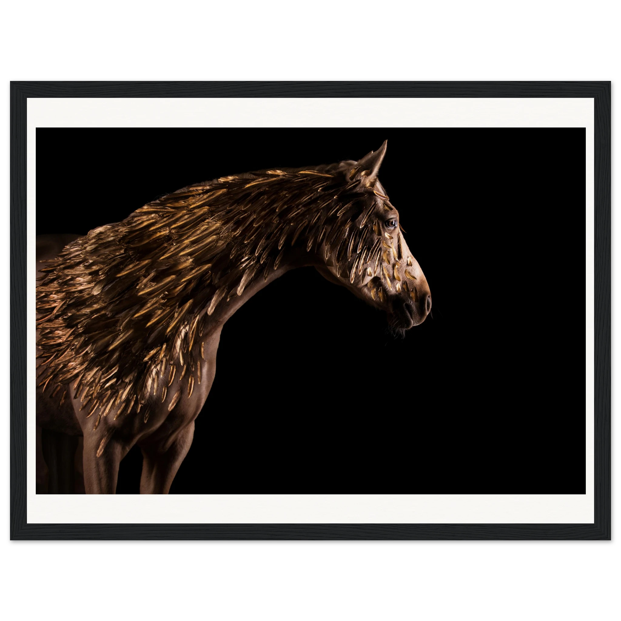 fe88251e-d6e2-4f70-b424-43638643dc29