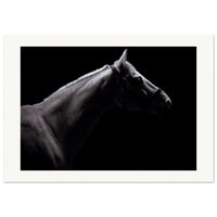 fe88c9f6-1d14-4c69-8754-9fa0f33b9c06