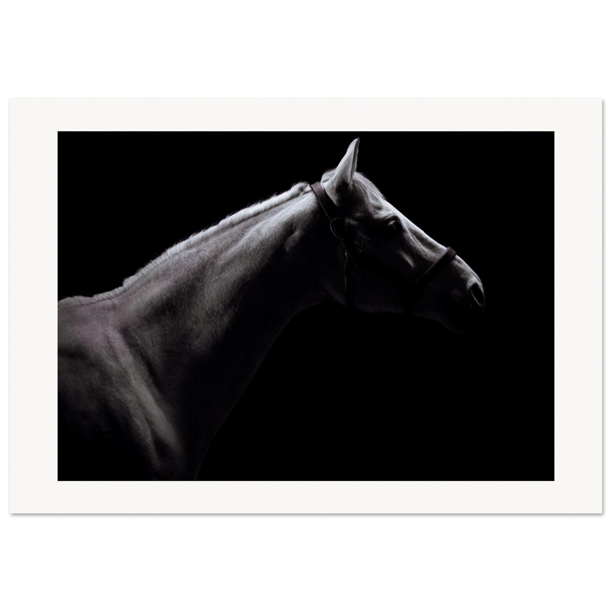 fe88c9f6-1d14-4c69-8754-9fa0f33b9c06