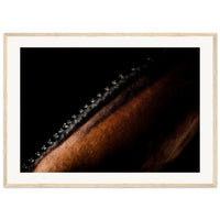 fe8b15de-fda3-4235-8180-d990b5a40290