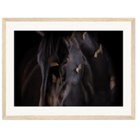 ff5a2a13-8ea7-4207-a2e1-7a7d480b5b50