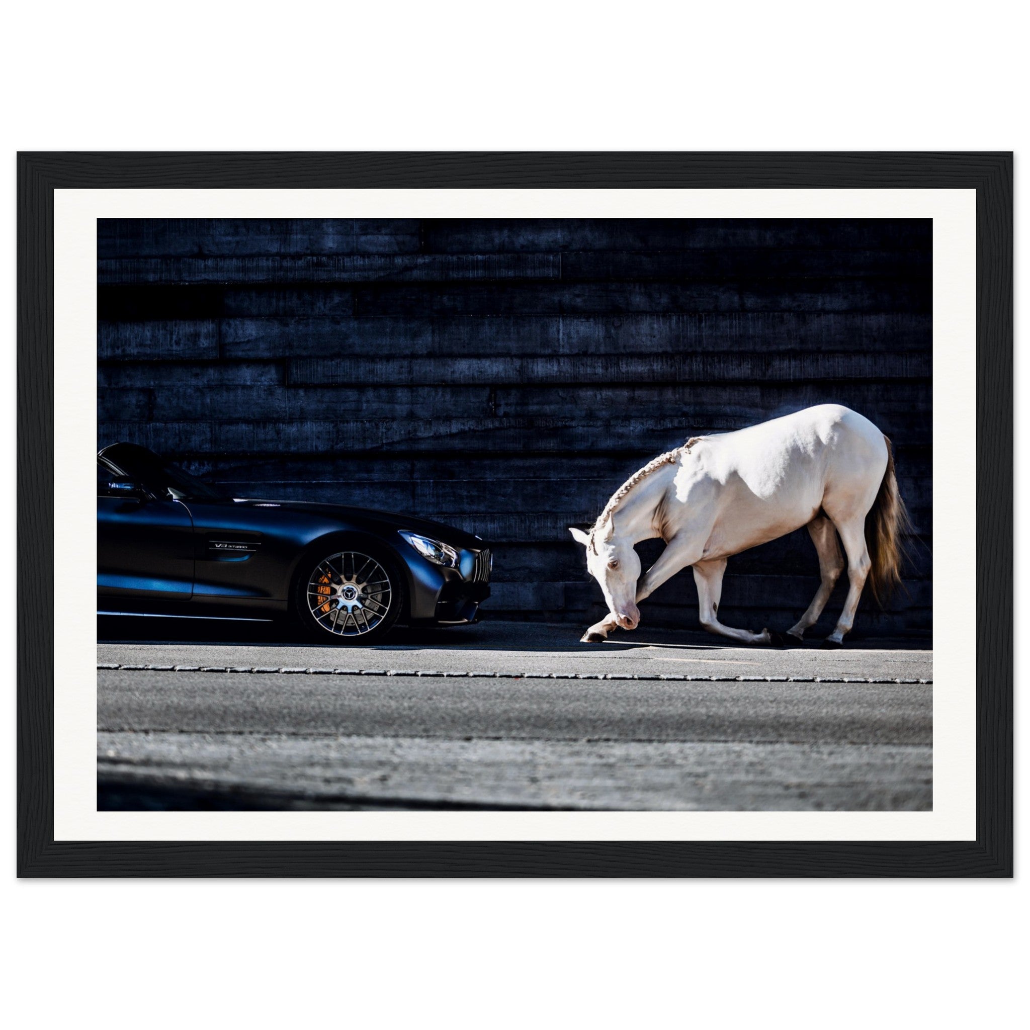 ff6d56e5-436b-4668-aeab-420f20a97395