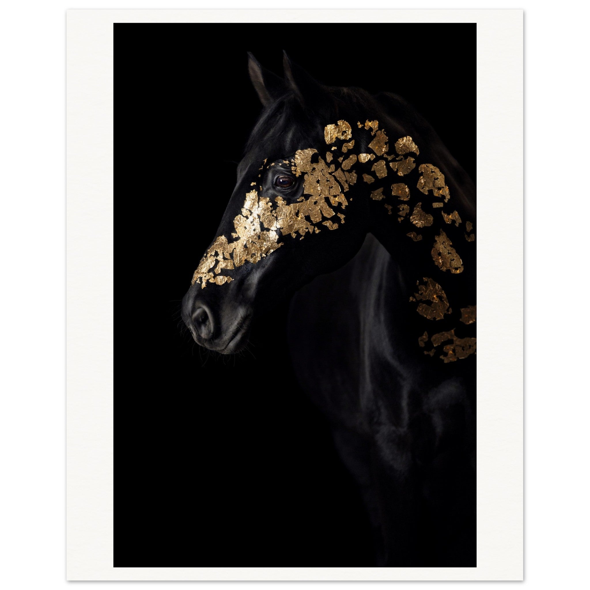 ffd0c811-33dd-48d8-8d2d-f25c322c97c2