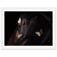 ffe64c05-281a-4771-be79-09d347f050f6