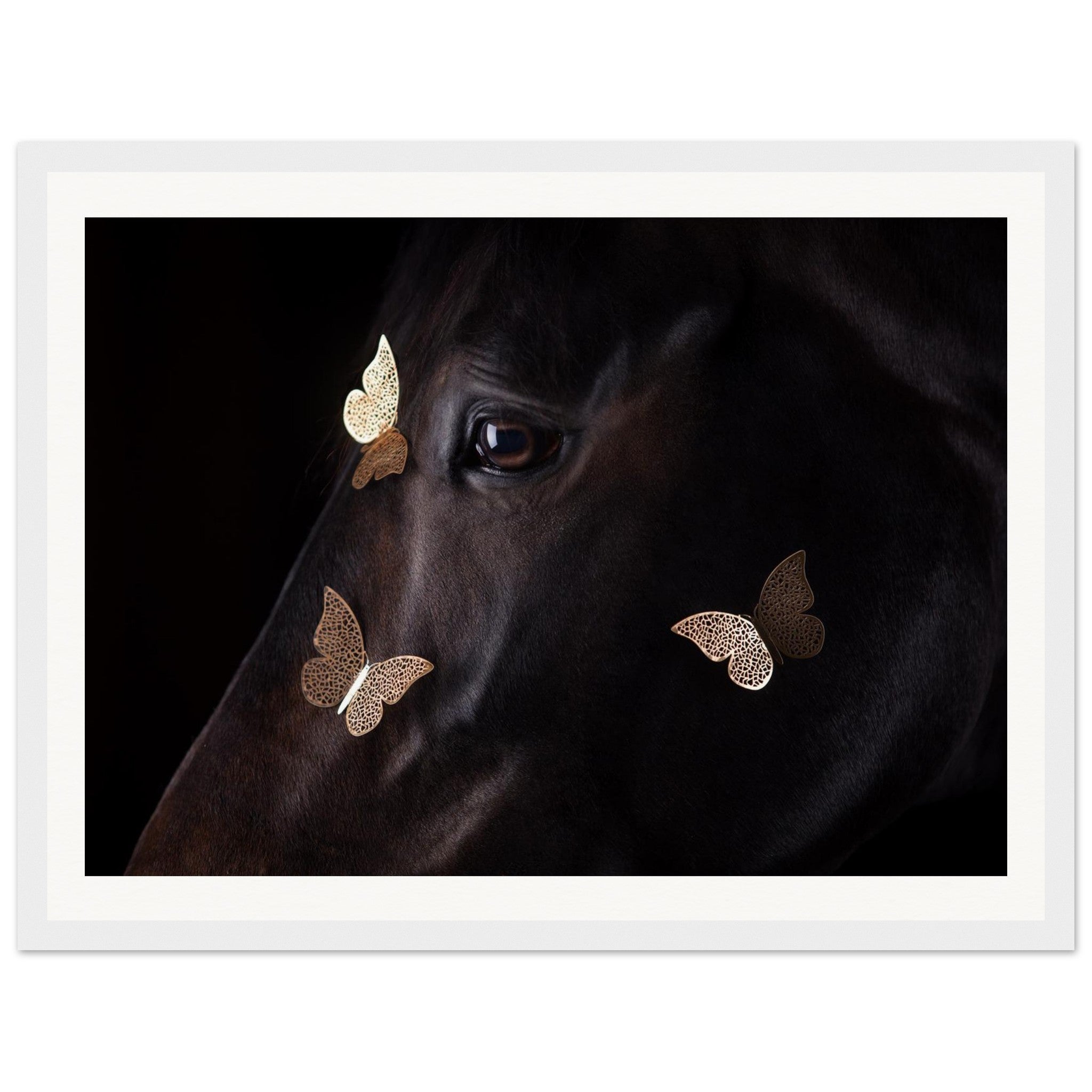 ffe64c05-281a-4771-be79-09d347f050f6