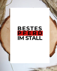 Poster - Bestes Pferd Im Stall