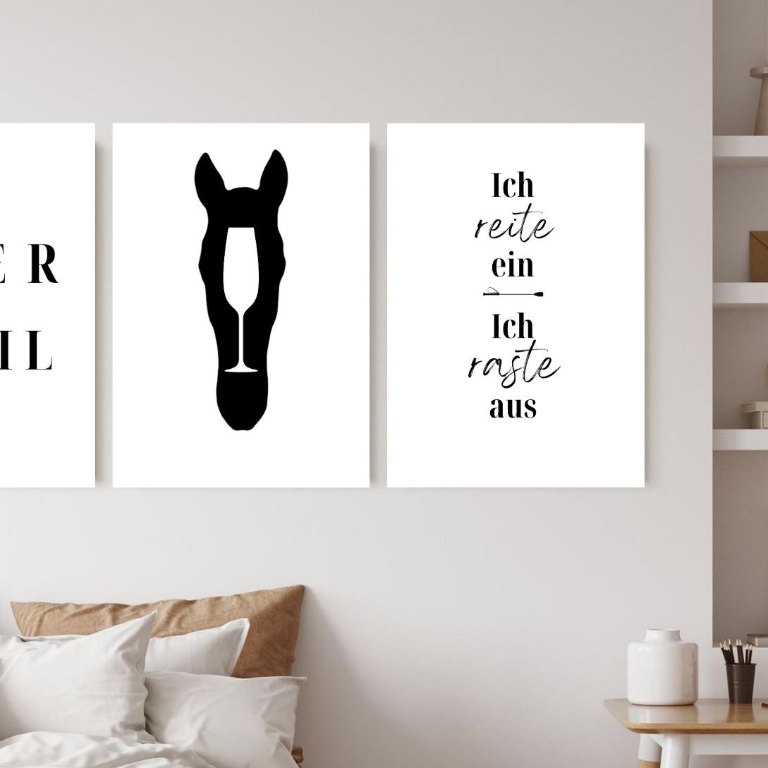 Poster - Oxer + Steil