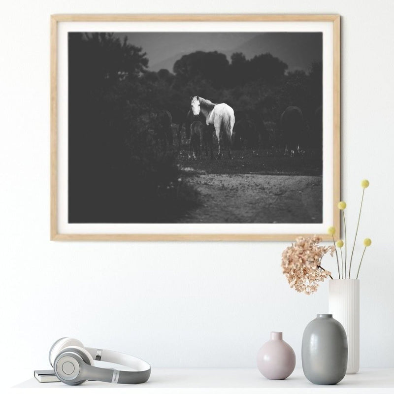 Diana Wahl Kollektion - Mother & Foal III - Black & White