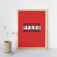 Poster - Bestes Pferd Im Stall II